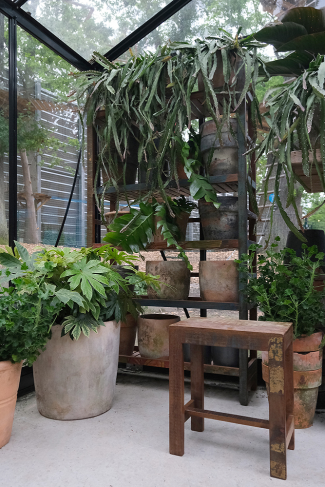 Pall 'Umut' - Återvunnet trä