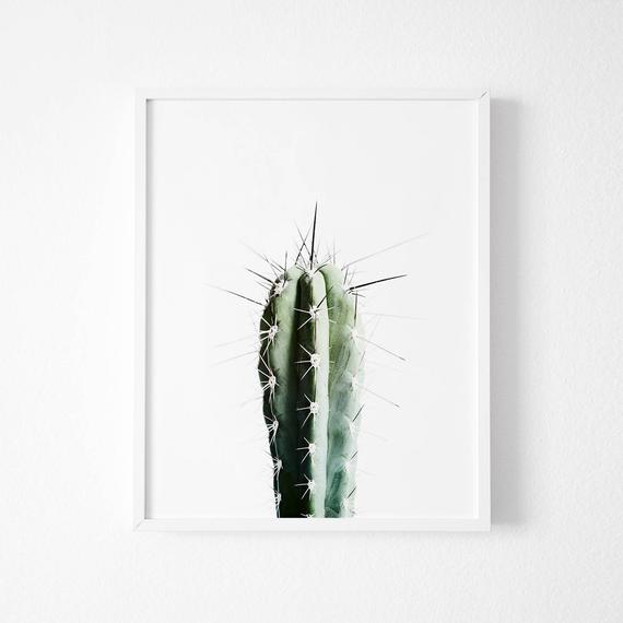 Poster - 'Kaktus'