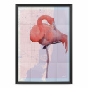 Poster - The Flamingo