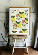 Poster - Flora & Fauna