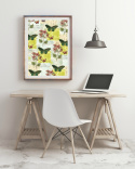 Poster - Flora & Fauna