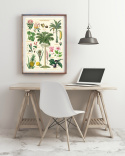 Poster - Vintage Tropical