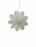 Adventsstjärna \'Daisy\' 60cm - Vit