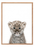 Poster - Leopard