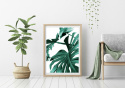 Poster - Monstera